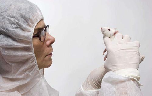 What is the mechanism of action of narcotic drugs in animal experiments?