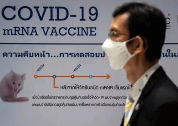 Animal test of Thailand\'s new crown vaccine succeeded, monkey antibodies increased, human trials conducted in October