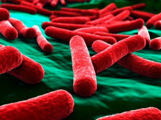 Chinese scholars discover genetic characteristics of intestinal flora associated with liver cirrhosis