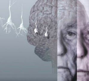 Polls show: British elderly are more afraid of suffering from Alzheimer\'s