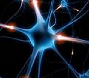 The loss of lipid molecules is directly related to neuronal degeneration