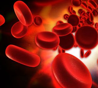 A major breakthrough in the proliferation of cord blood stem cells