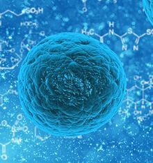 Chinese scientists use new method to suppress breast cancer stem cells