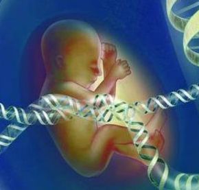 Gene sequencing reveals the genetic factors of cerebral palsy