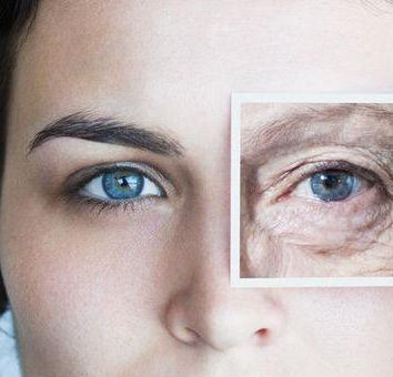 Anti-aging genes were successfully discovered by scientists