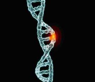 3% of ALS patients have new gene mutations