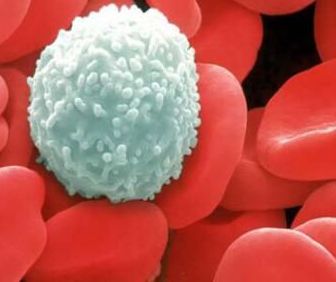 Use convertible CAR-T cells to attack potential HIV