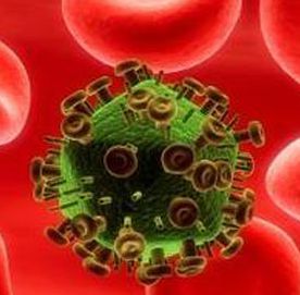 Animal experiment: successful experiment to remove HIV