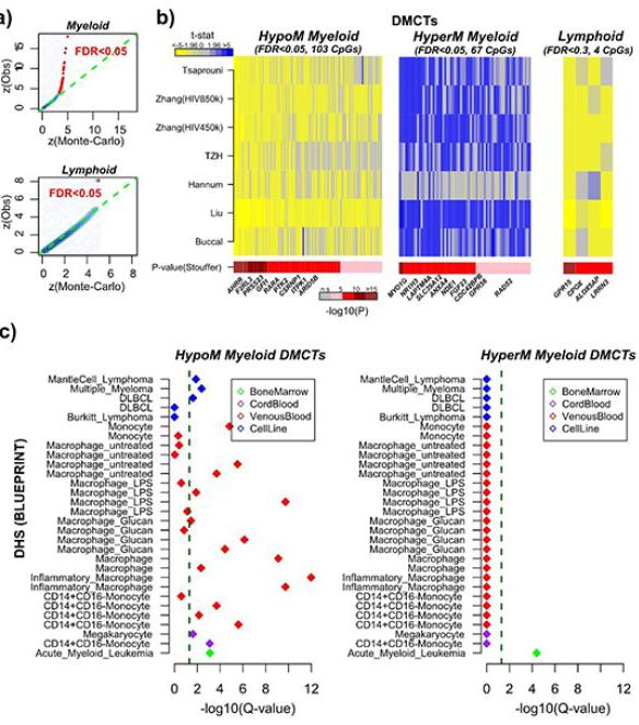 Study explains cell-specific DNA methylation changes in blood