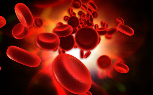 Realize the proliferation of cord blood stem cells