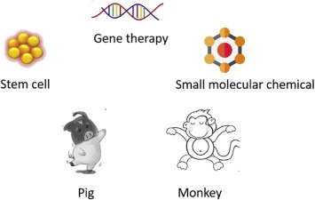 【Animal Modeling】-How to use large animal models to study Huntington\\\\