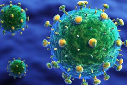 Through animal modeling technology, it is found that double antibody attack can inhibit HIV in monkeys