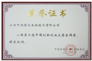 The 10th China Innovation and Entrepreneurship Competition National Competition