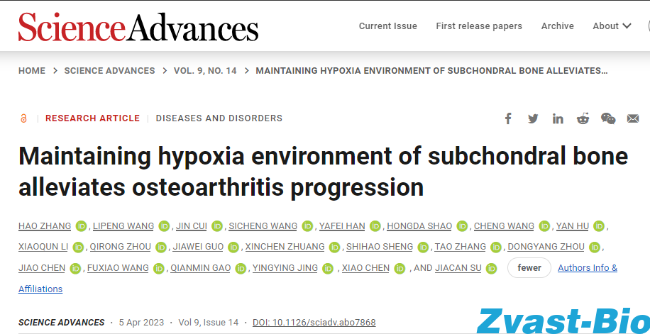 [Animal Modeling] - Su Jiacan/Chen Xiao/Jing Yingying Team Reveals Key Links in the Development of Osteoarthritis